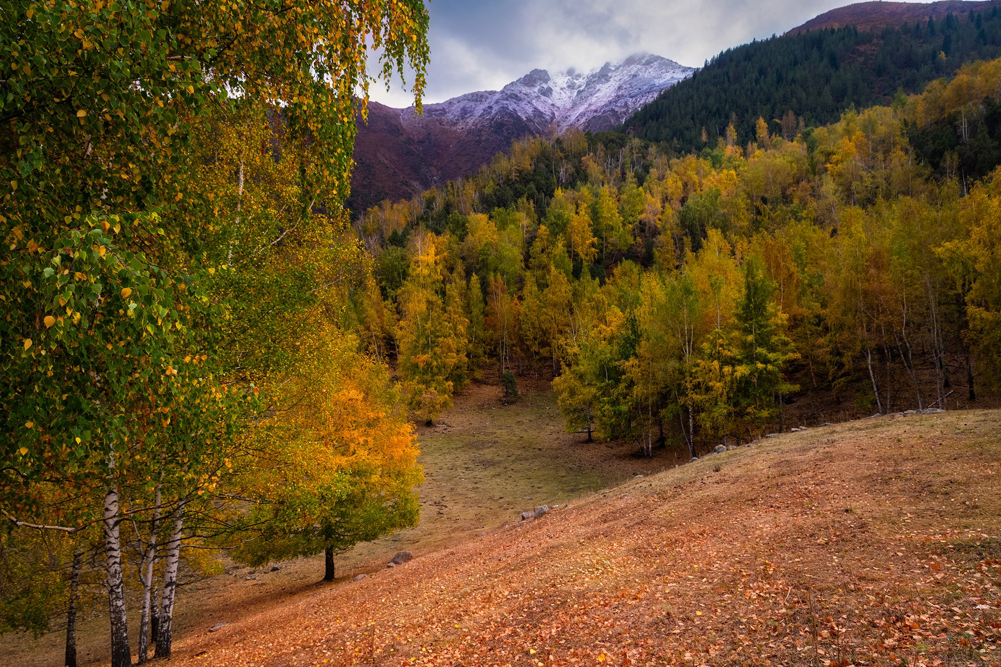 Палитра сентября