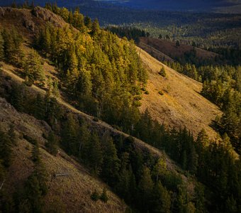 И тут душа поет