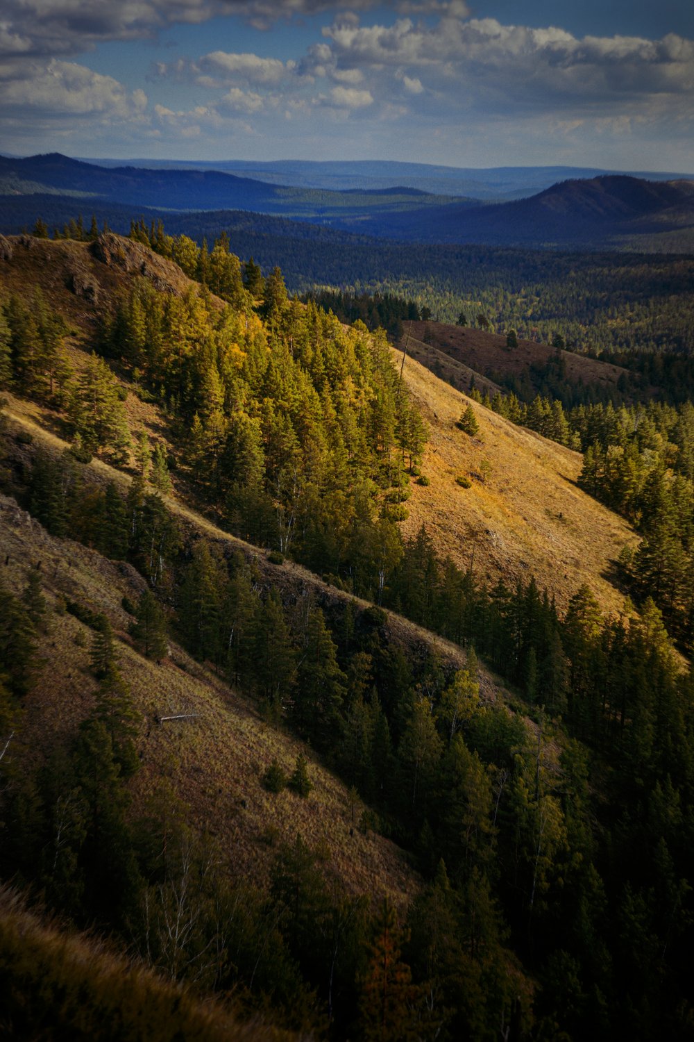 И тут душа поет