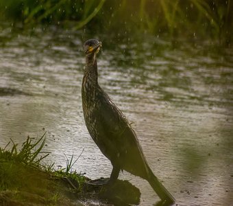 Последняя встреча осени