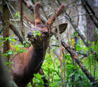 Игра в прятки