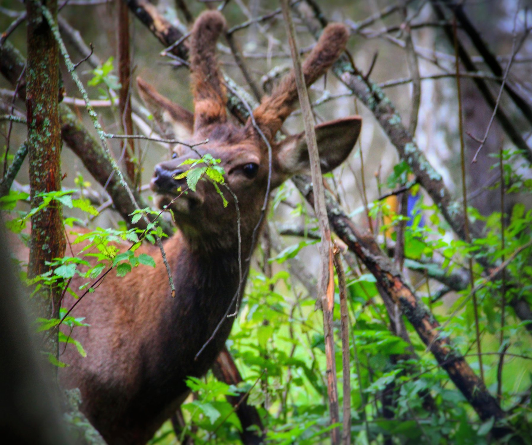 Игра в прятки