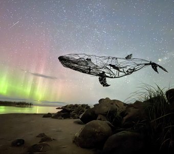 Кит и сияние