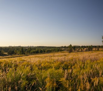 Долина Десны