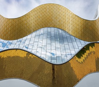 Дворец гимнастики