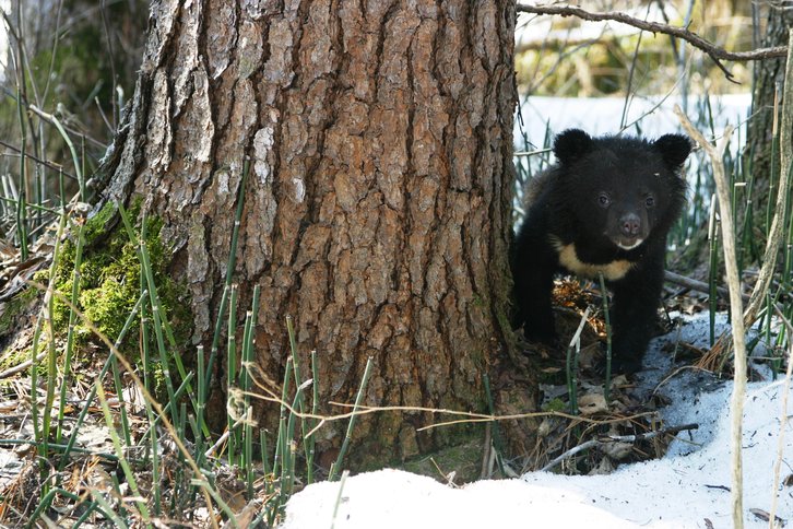 Фото: Сергей Колчин