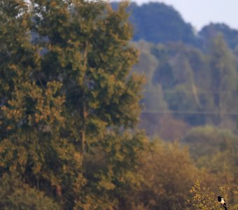 Здравствуй, осень!