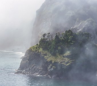 Туманный берег Шикотана