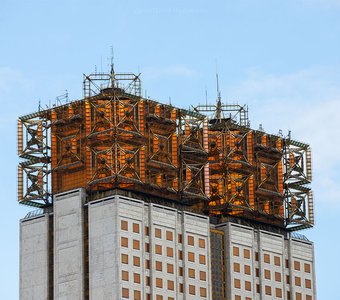 "Золотые мозги"