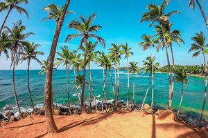 Россияне больше не смогут получить визу Шри-Ланки по прилете