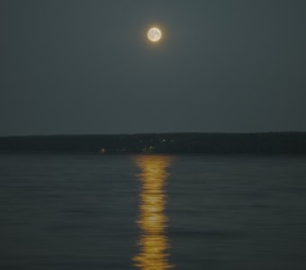 Золотая дорога луны