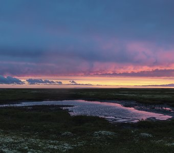 Вечер в летней тундре