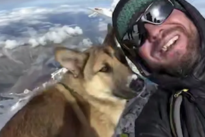 Упорный бездомный пес покорил самую высокую гору России