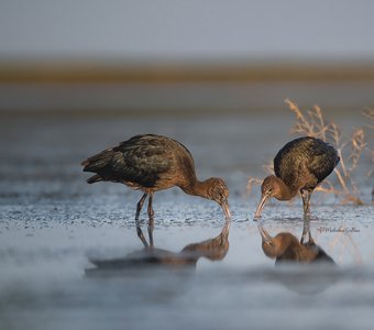 Скоро в дорогу.