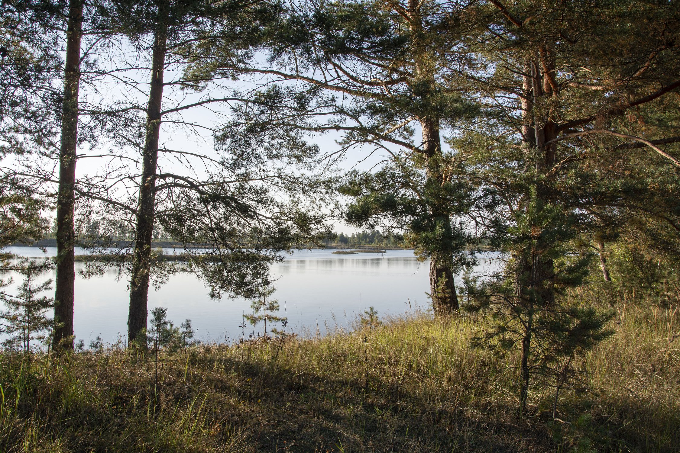Городецкое