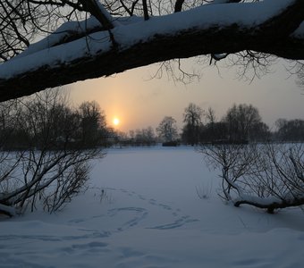 Зимнее солнце в Петергофе