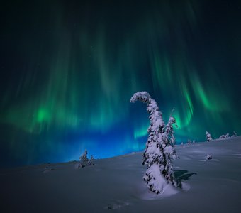 Полярное сияние на берегу Белого моря