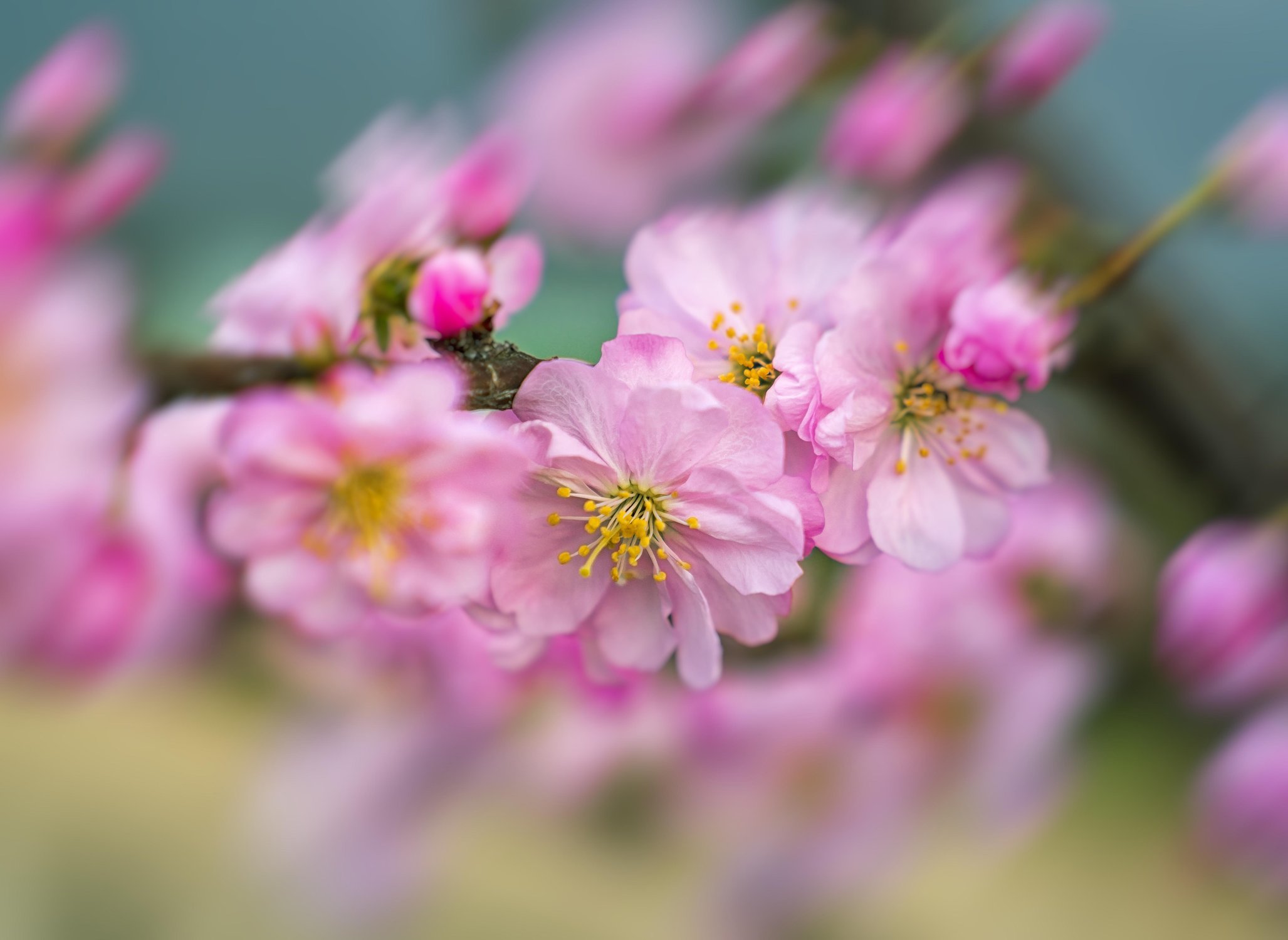 Был месяц май