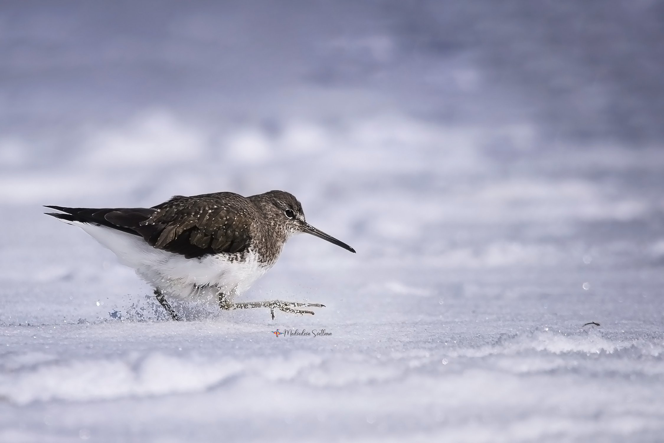 И снег ему по колено.