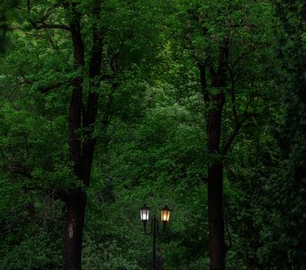 Вечер в парке Кисловодска