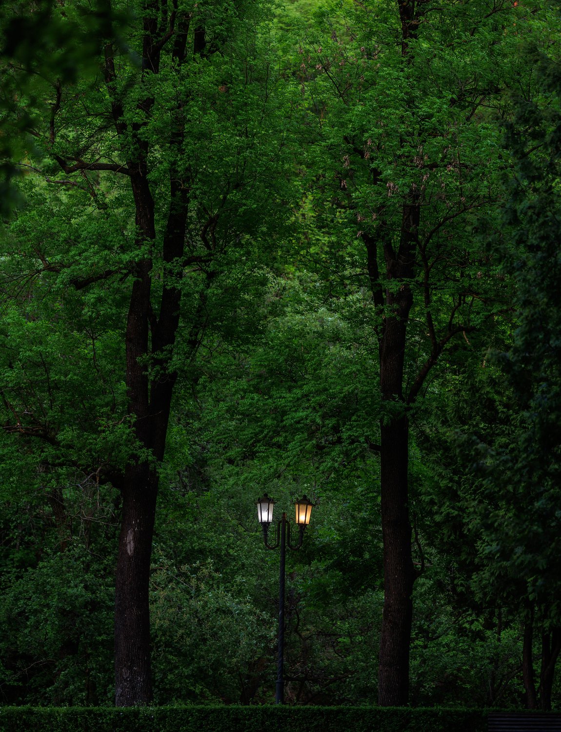 Вечер в парке Кисловодска