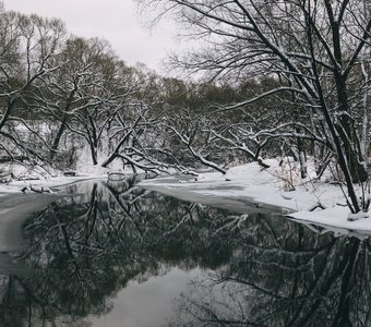 Зима в Подмосковье (Домодедово, река Рожайка)