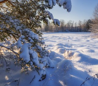 Мороз и солнце - день чудесный