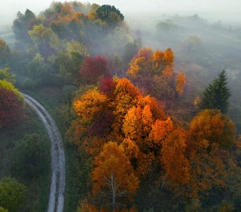 Осень в Мещёре