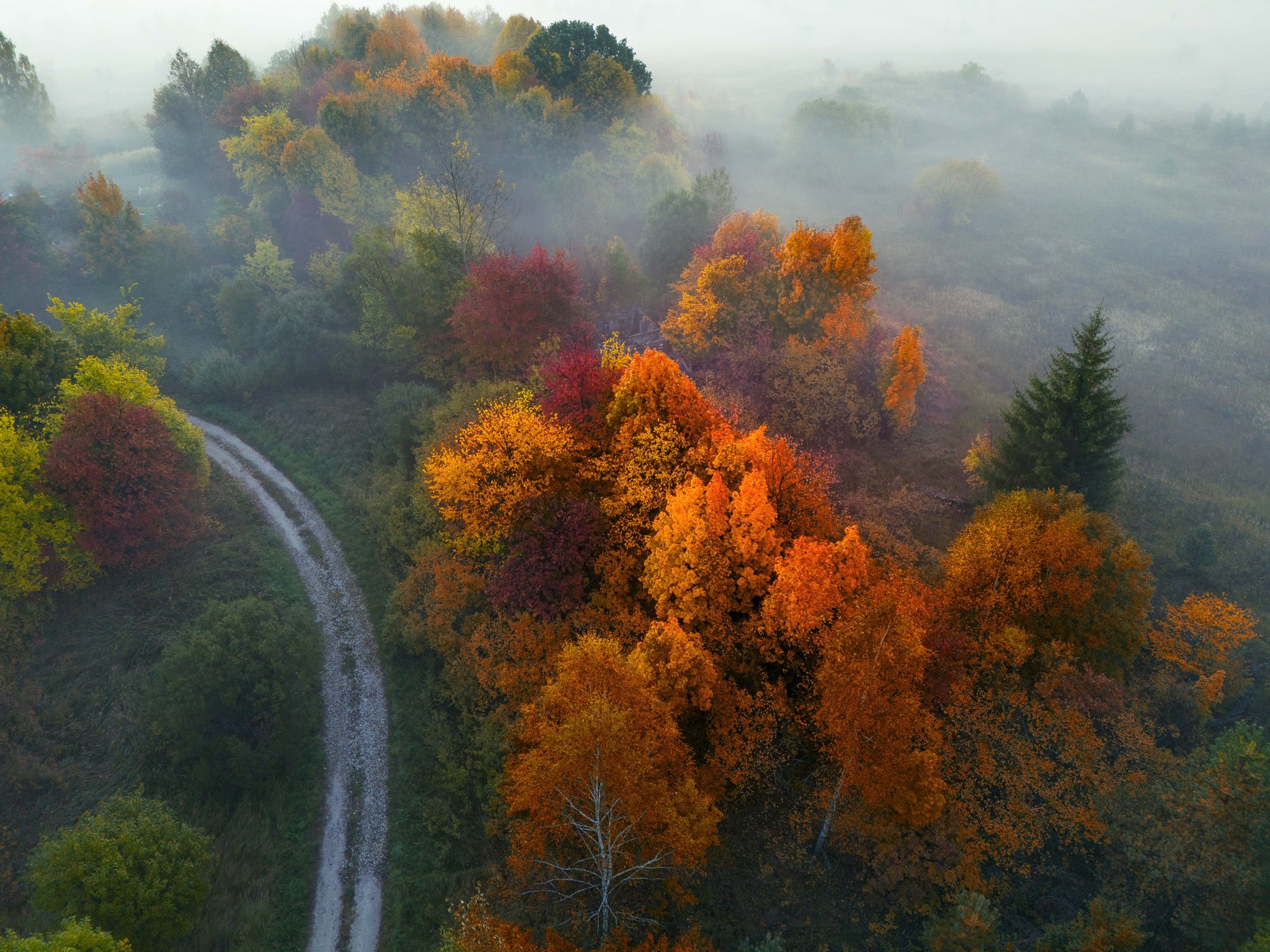 Осень в Мещёре