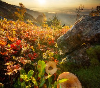 Осень на Серебрянском Камне