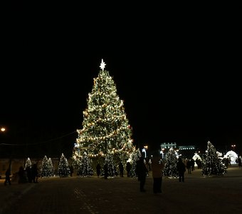 Рождественский праздник в Кронштадте 2026 г.