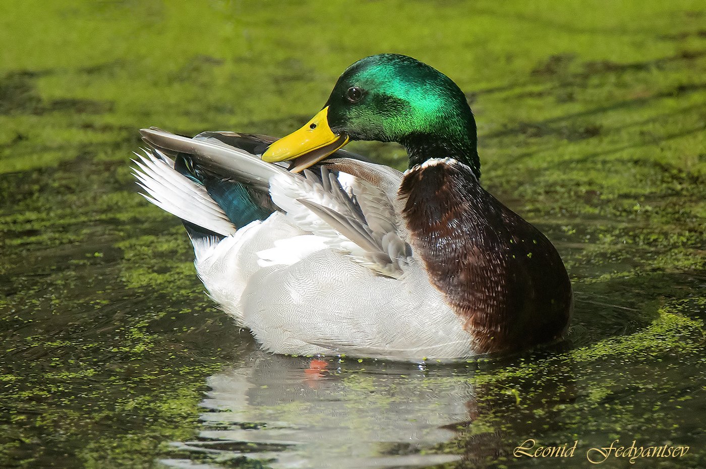 Надо выглядеть прилично в любой обстановке!
