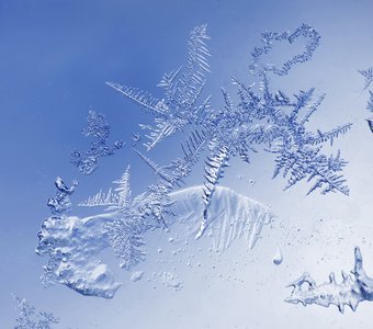 Ледяная абстракция