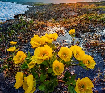 Лето на Камчатке