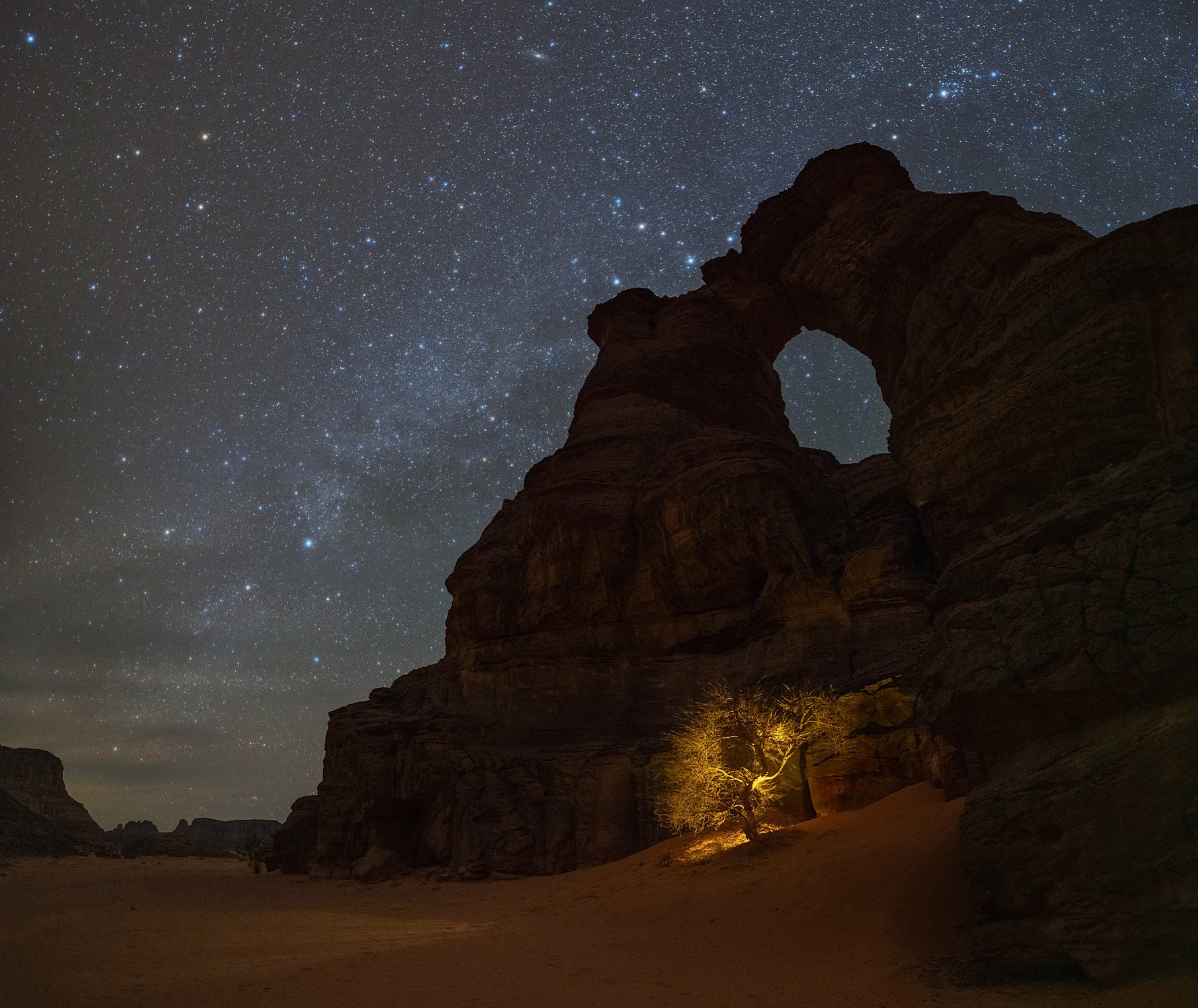 Волшебное дерево - 2
