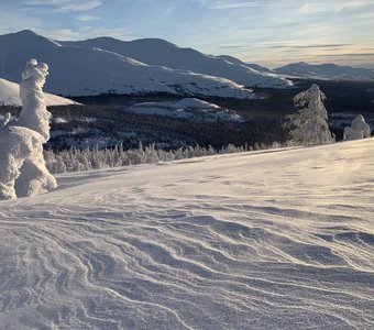 Лама смотрит на ГУХ, Пермский край