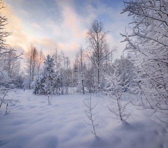 Зимняя сказка