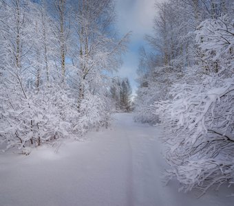 Белое безмолвие