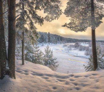 Зима на сосновом берегу