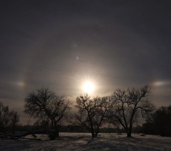 Солнечное гало