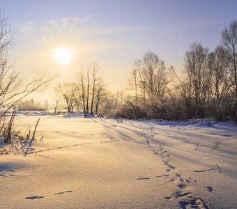 Морозная пастель