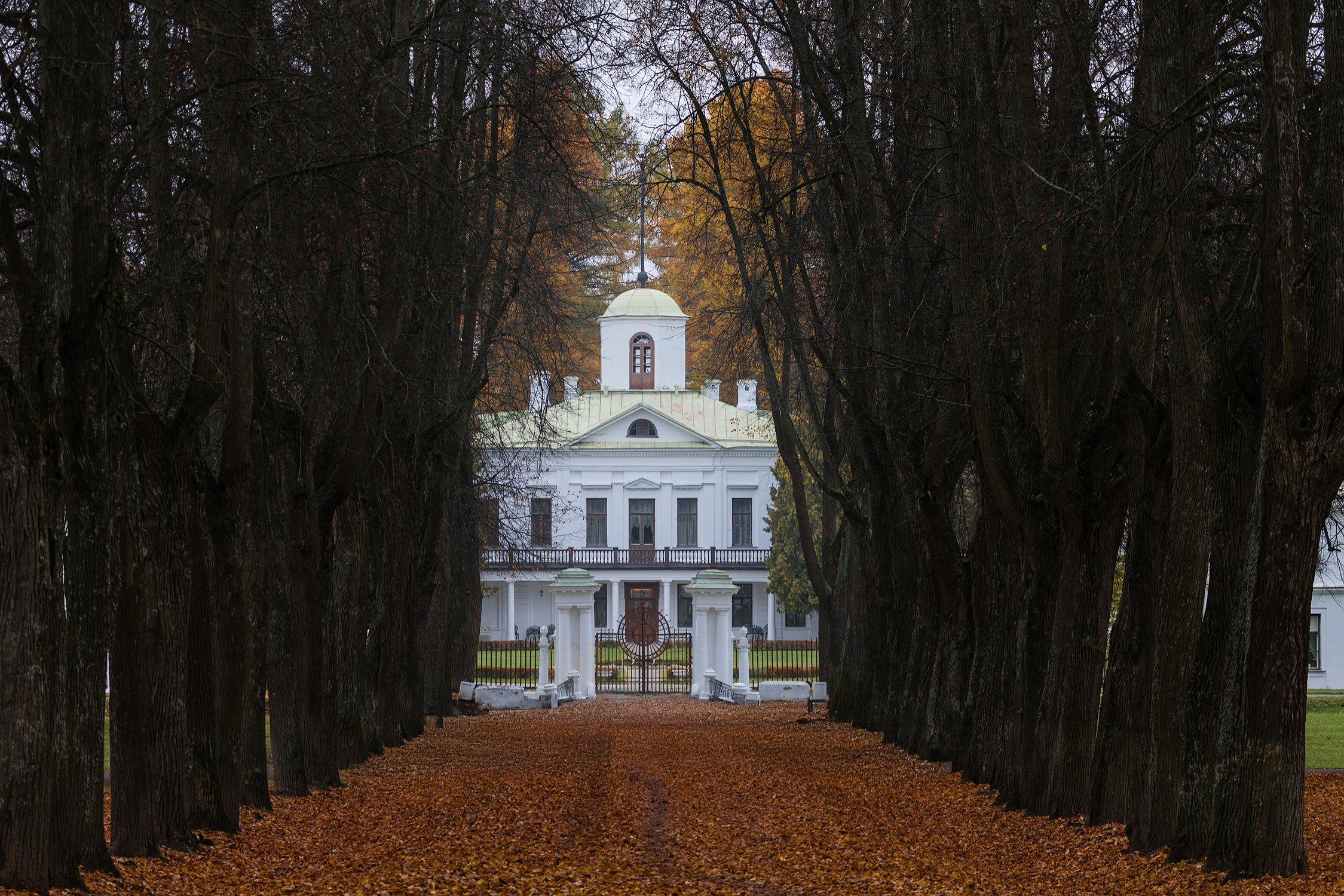 Осень в Середниково