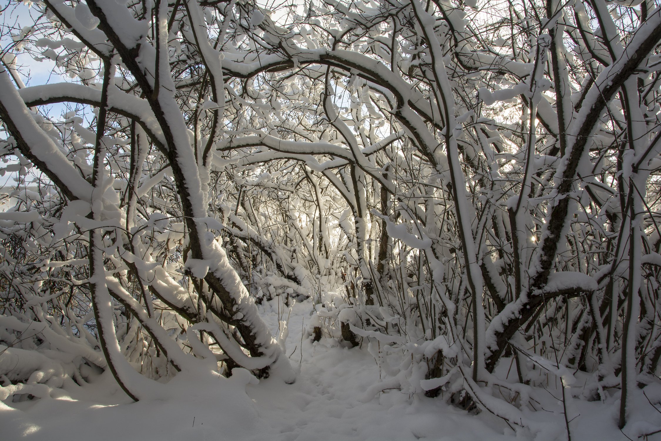 Зимняя сказка