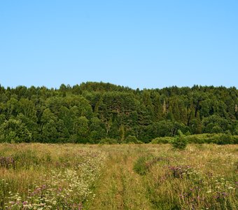 Дорогой нашего детства