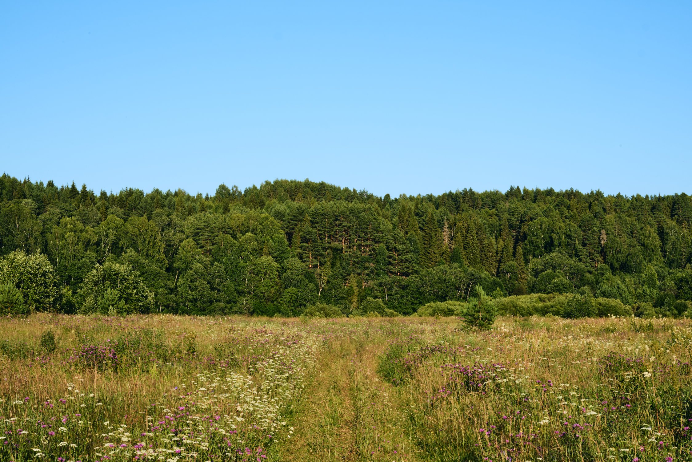 Дорогой нашего детства