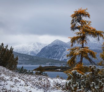 Колыма. Озеро Джека Лондона