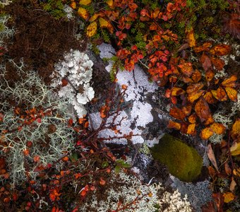 Фактуры Северного Урала