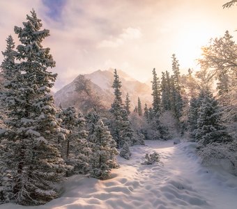 Нежность утра