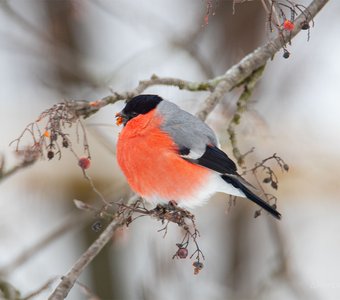 После праздников