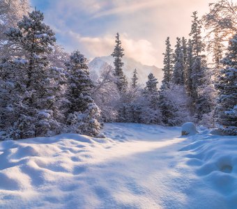 Музыка утра